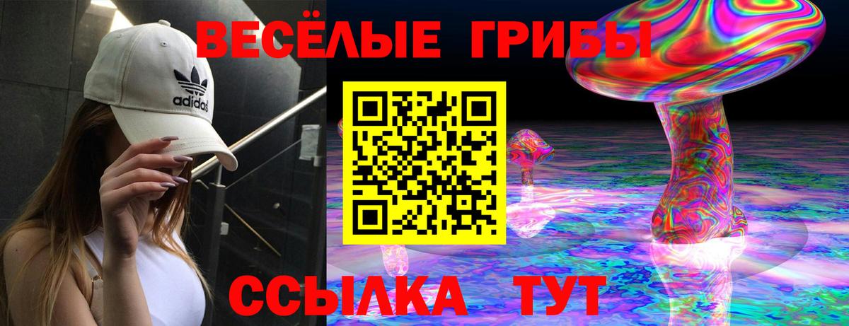Галлюциногенные грибы Psilocybine cubensis Добрянка